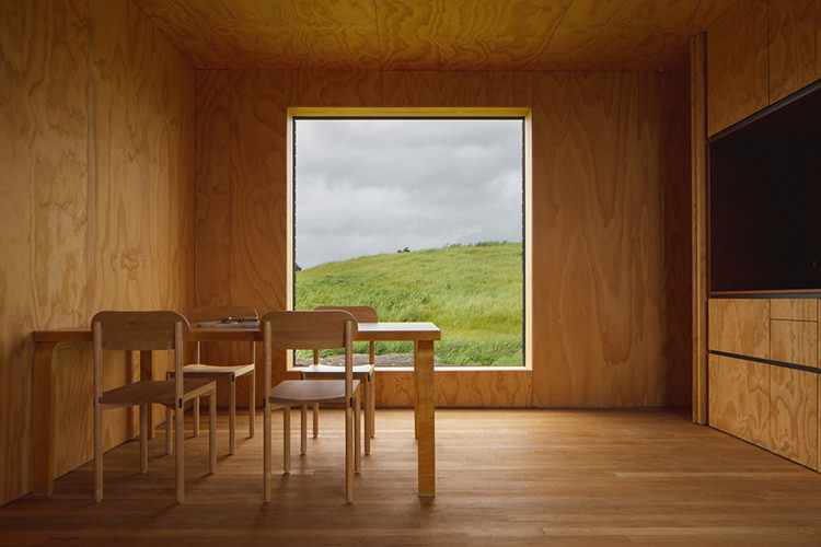 IN/OUT - NZ HOUSE OF THE YEAR