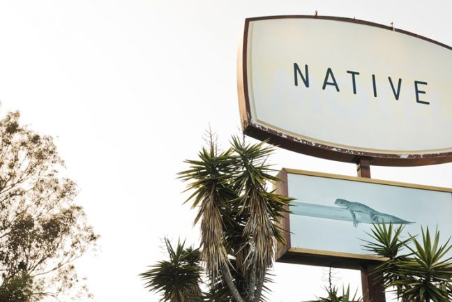 In/Out:NativeHotel