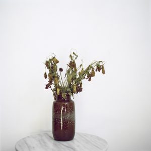 In/Out - Julia Schauenburg: 52 bunches of flowers I bought myself
