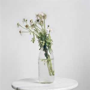 In/Out - Julia Schauenburg: 52 bunches of flowers I bought myself